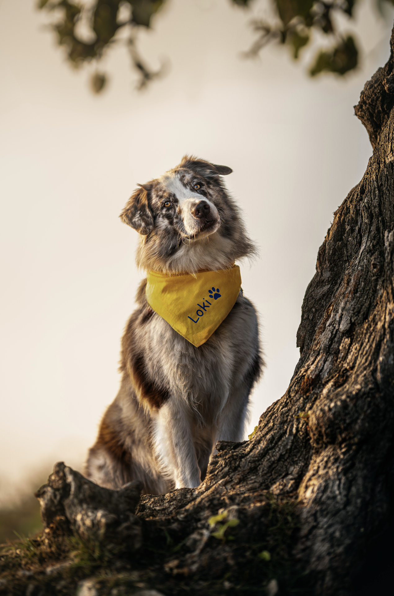 Bildschirmfoto 2026-03-02 um 19.52.47.png