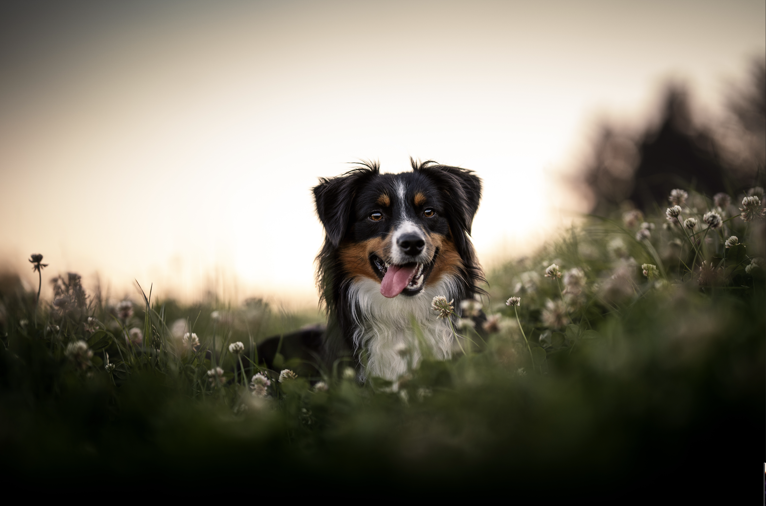 Bildschirmfoto 2026-03-02 um 19.51.28.png