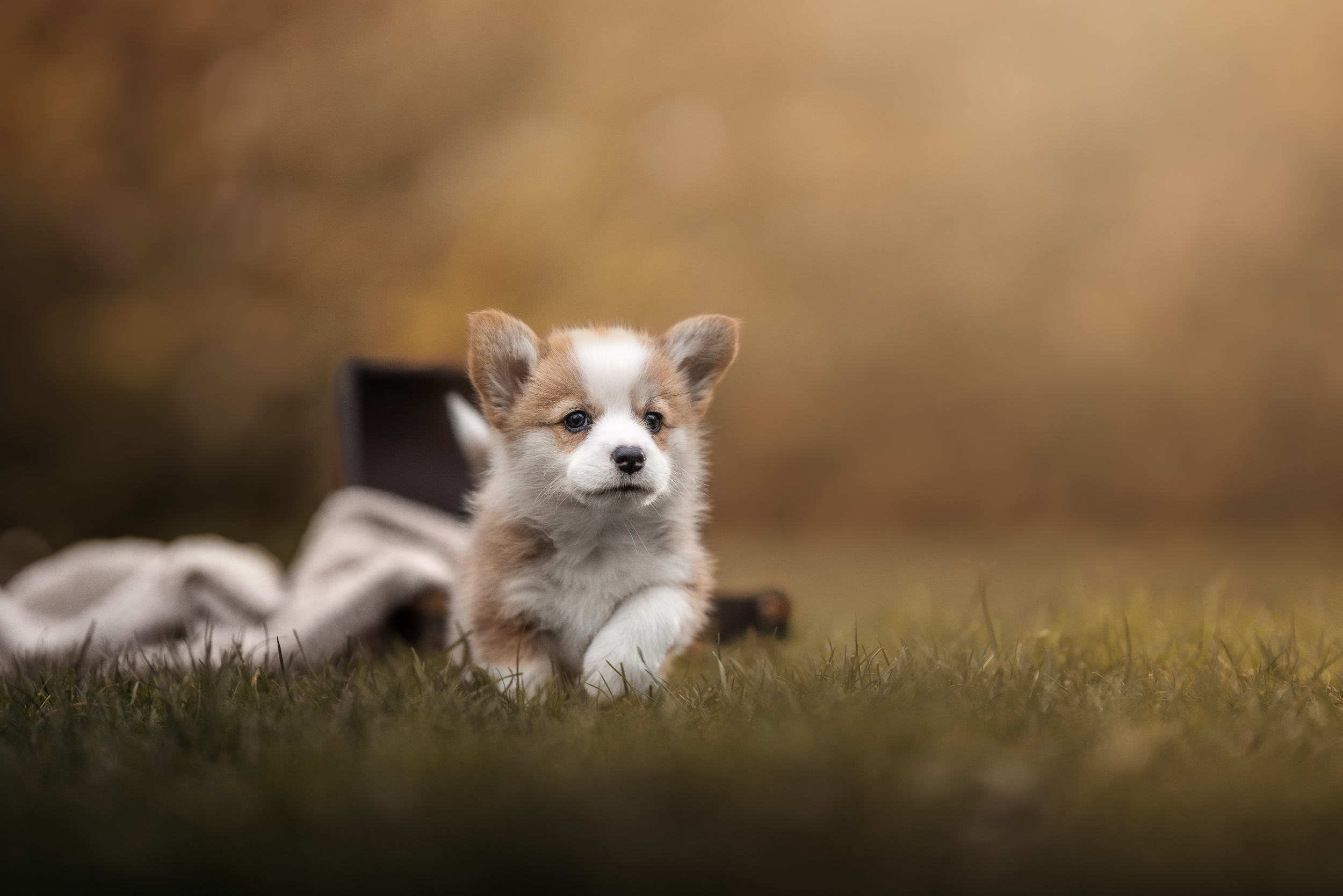 Bildschirmfoto 2026-03-02 um 20.17.32.png