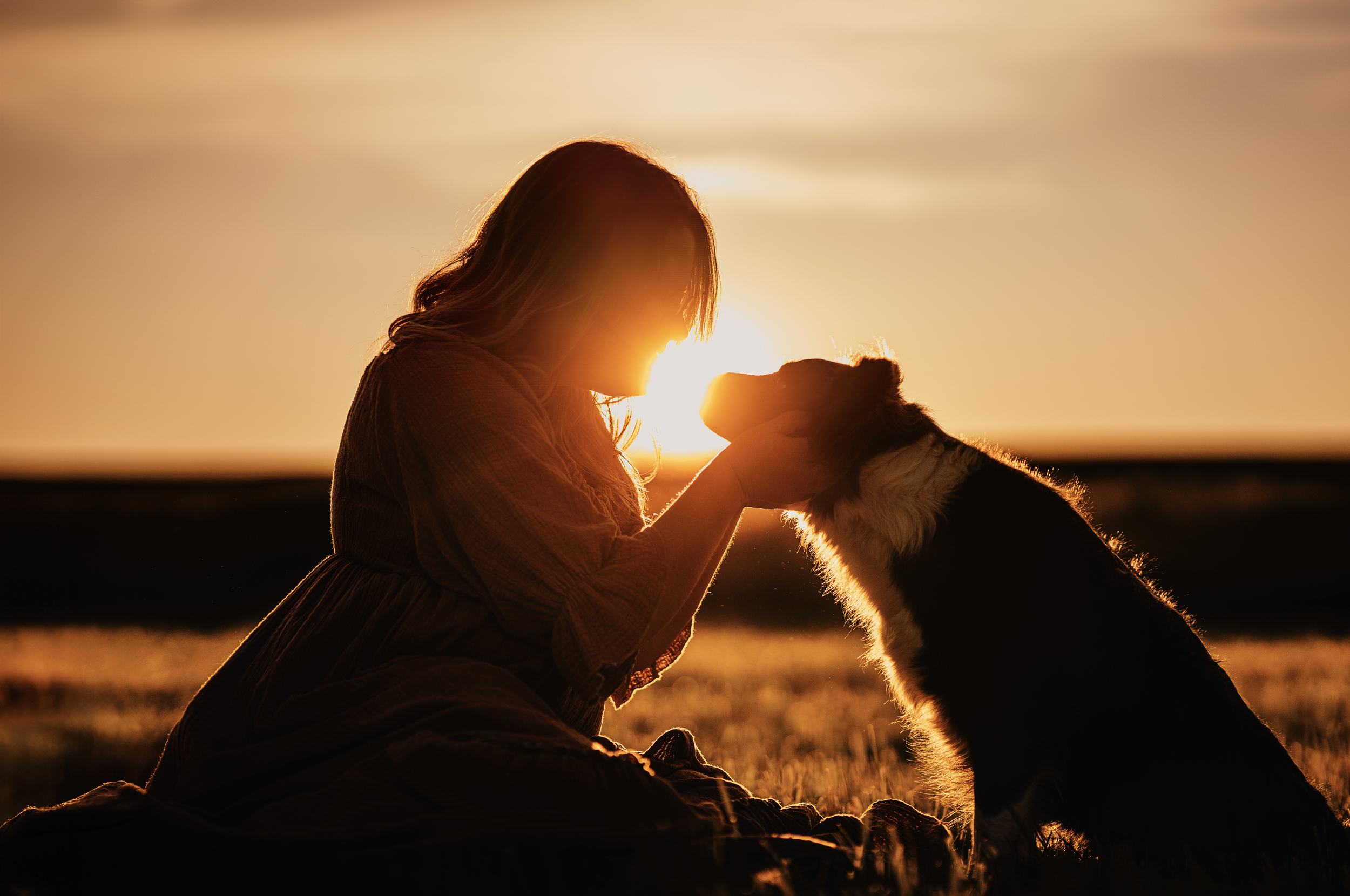 Bildschirmfoto 2026-03-02 um 19.52.03.png