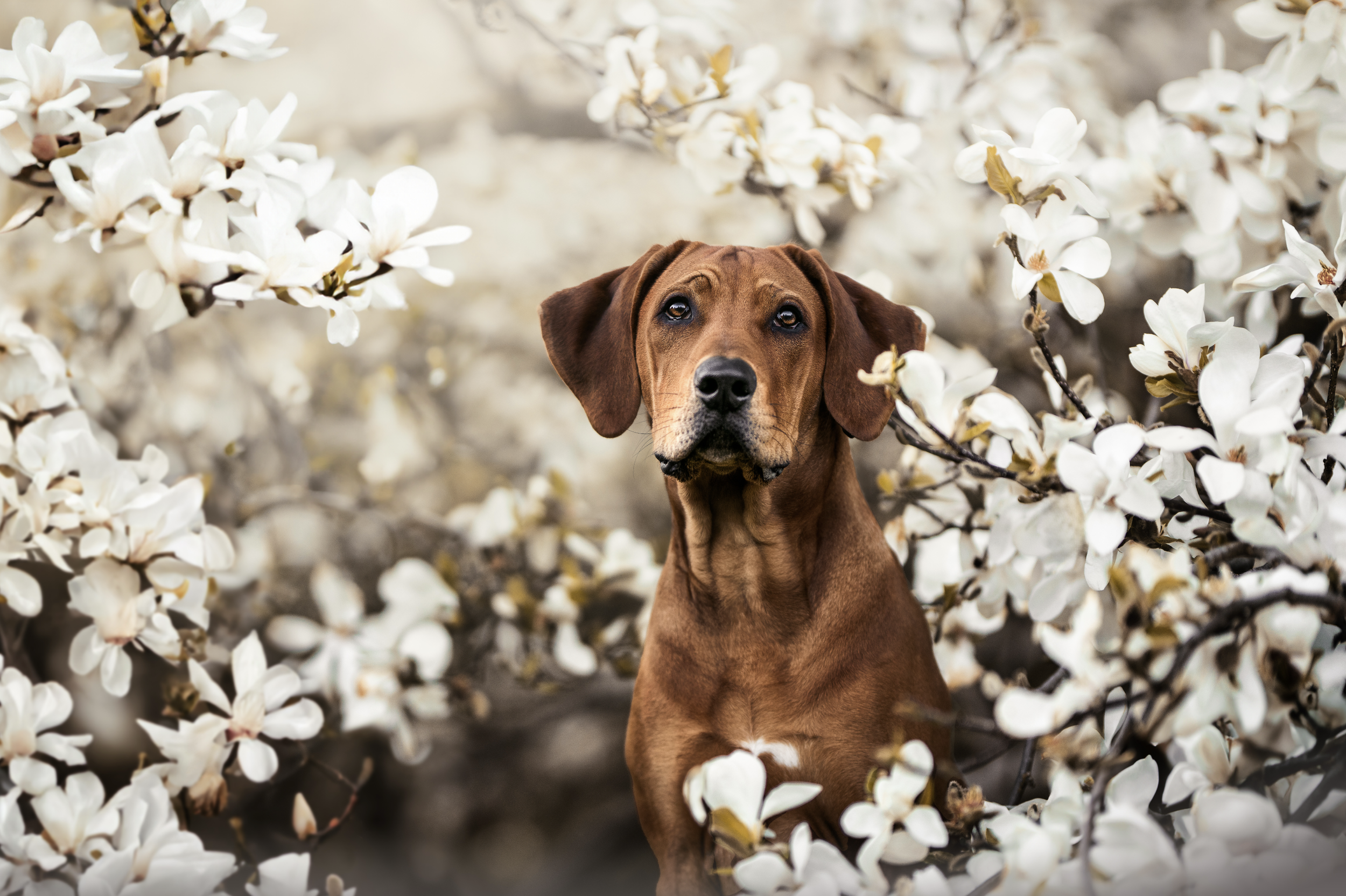 Bildschirmfoto 2026-03-02 um 19.53.00.png