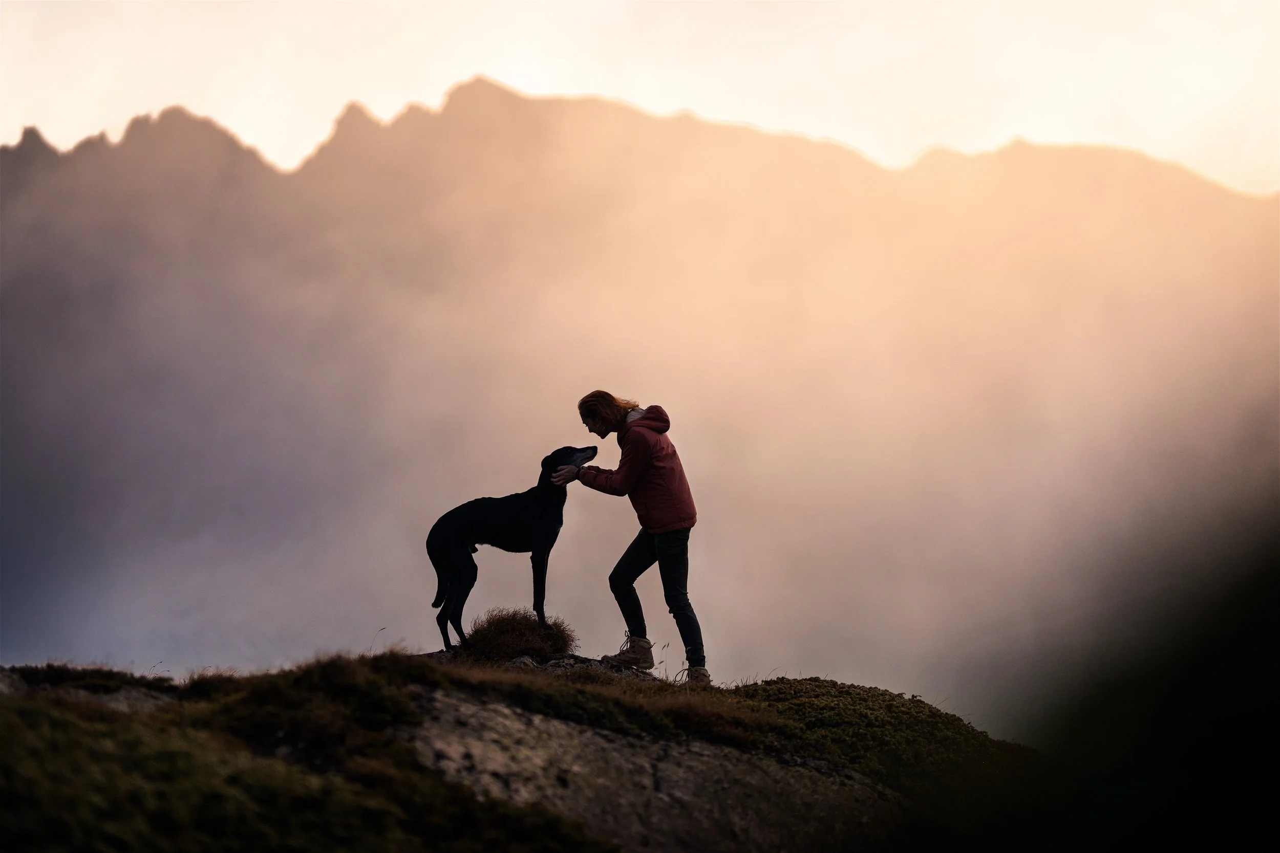PFOTENPOESIE_Grimsel-10.jpg