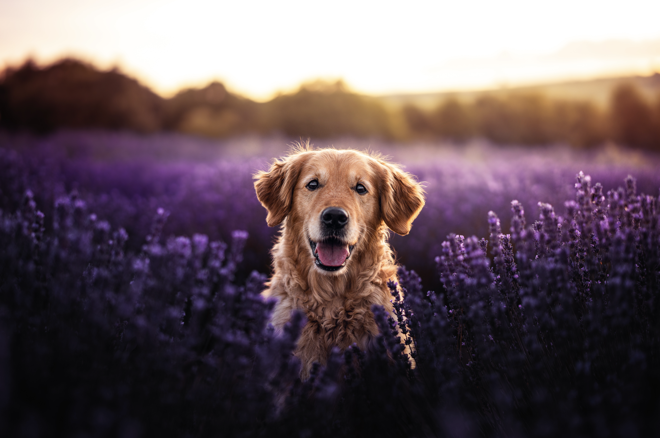 Bildschirmfoto 2026-03-02 um 19.51.16.png