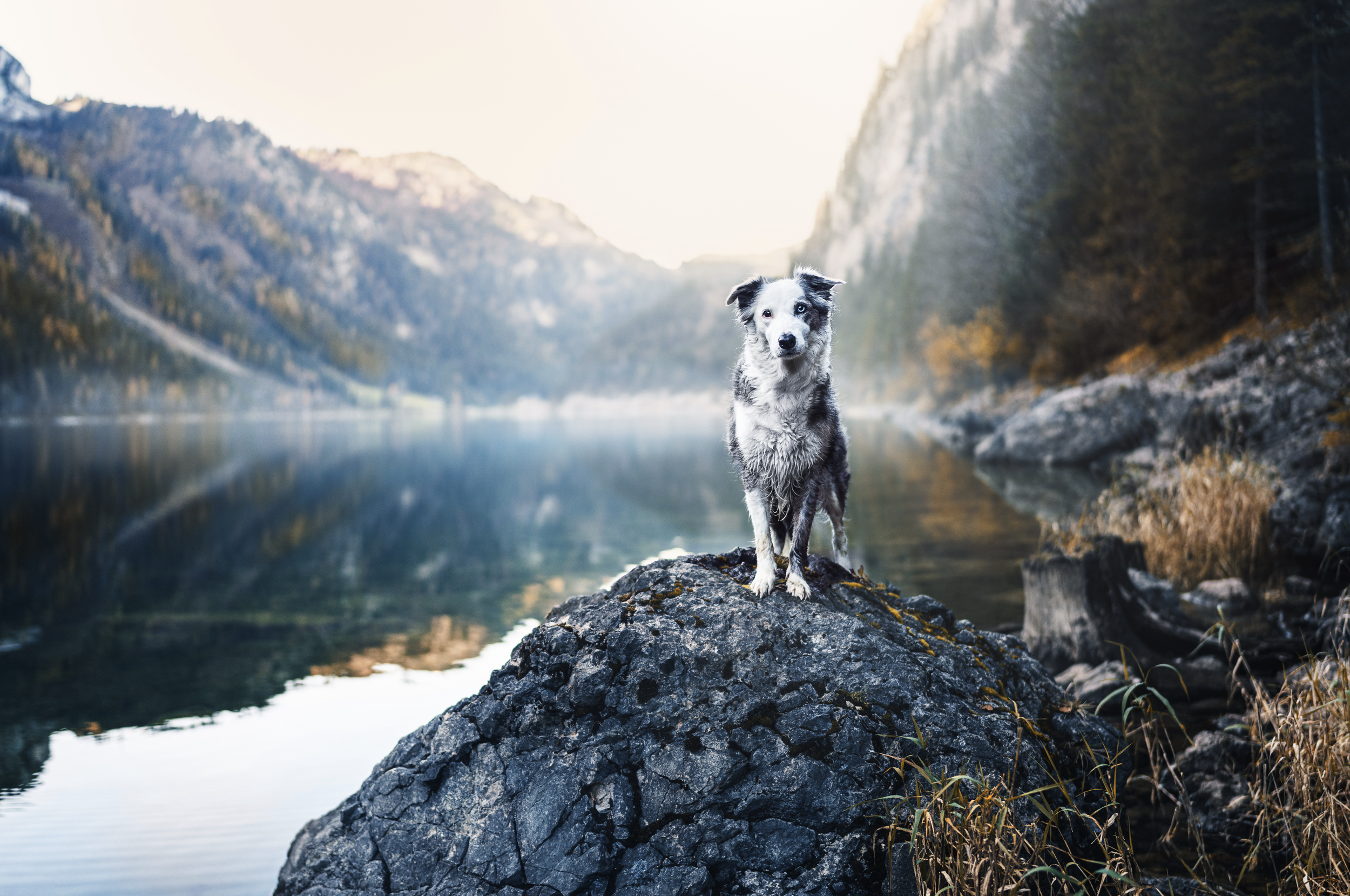 Bildschirmfoto 2026-03-02 um 19.55.13.png