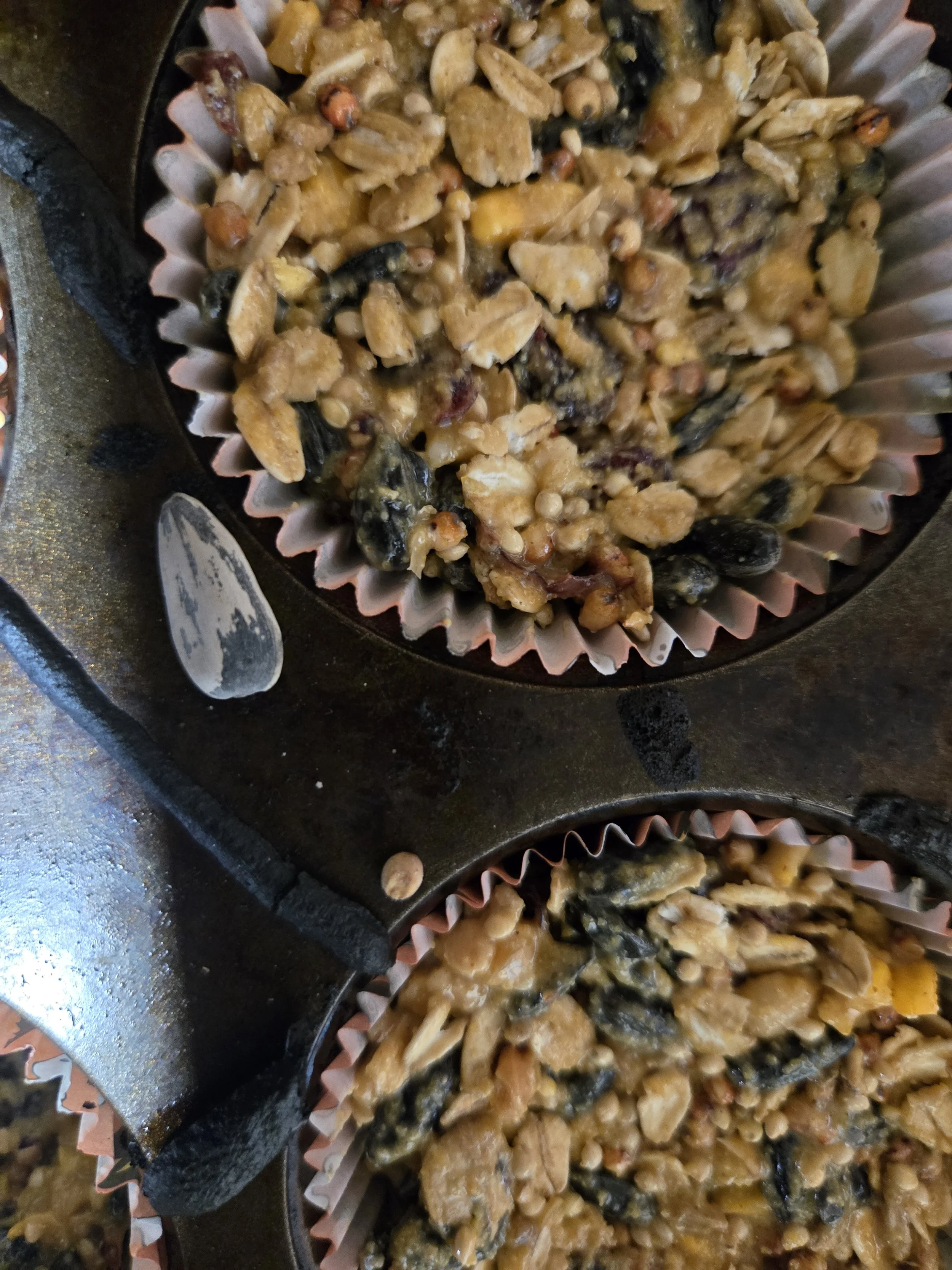 wild+bird+suet+.jpg