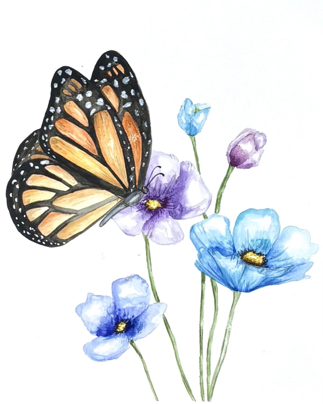 Monarch Landing