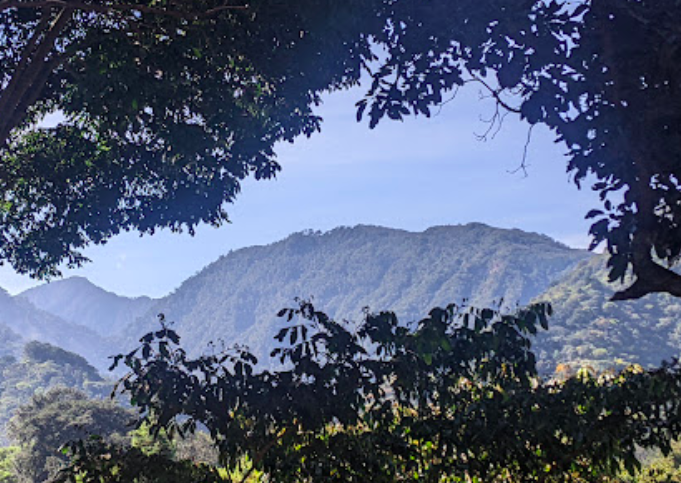 Screen Shot 2024-05-23 at 8.14.26 PM.png