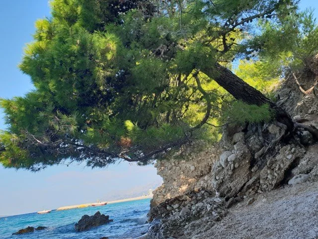 makarska beach 5.jpeg