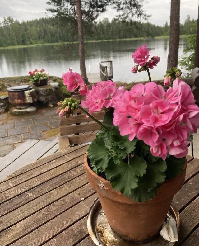 saimaa lammella.jpeg