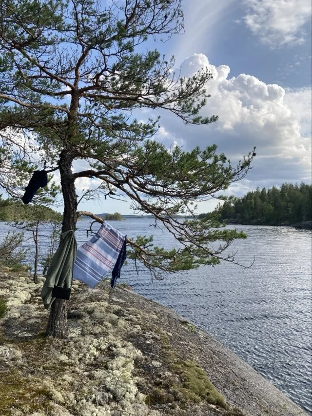 saimaa mänty 2.jpeg