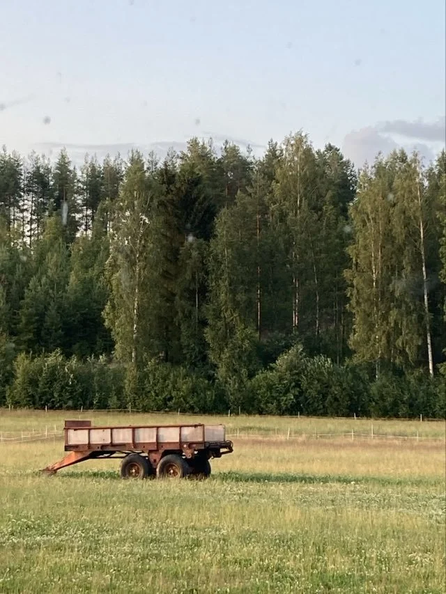 saimaa pelto.jpeg