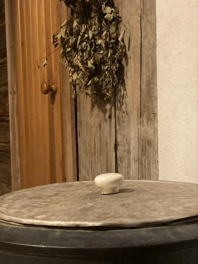 saimaa sauna 2.jpeg