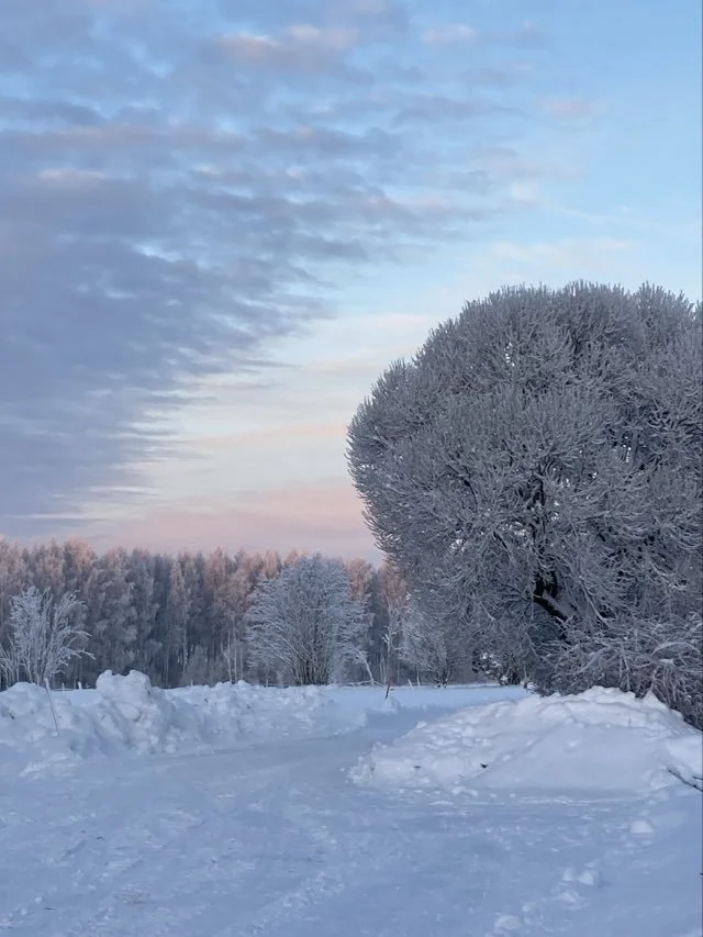 saimaa talvi.jpeg