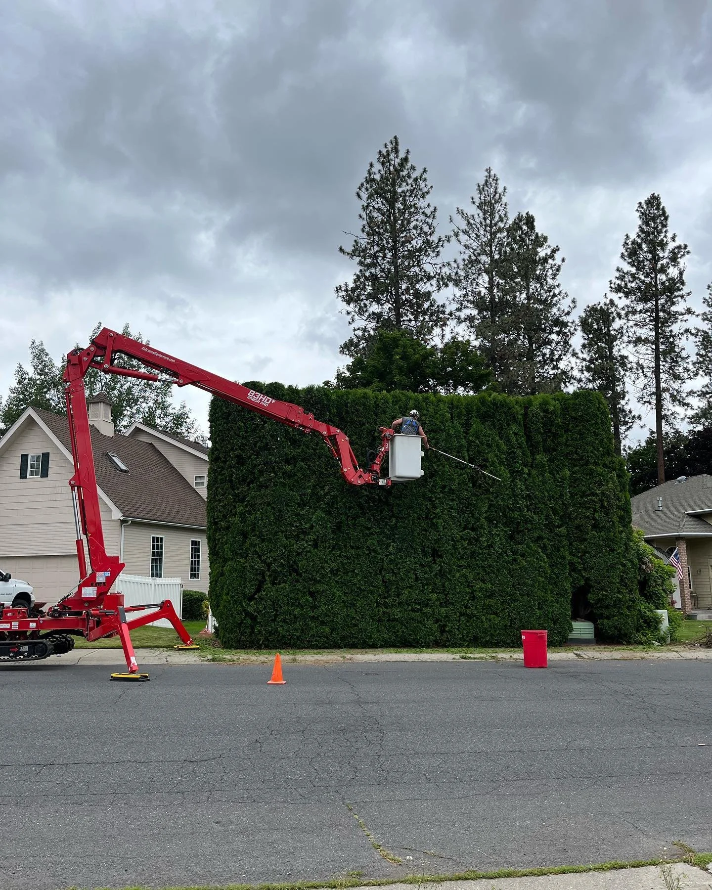 Hedge Trimming