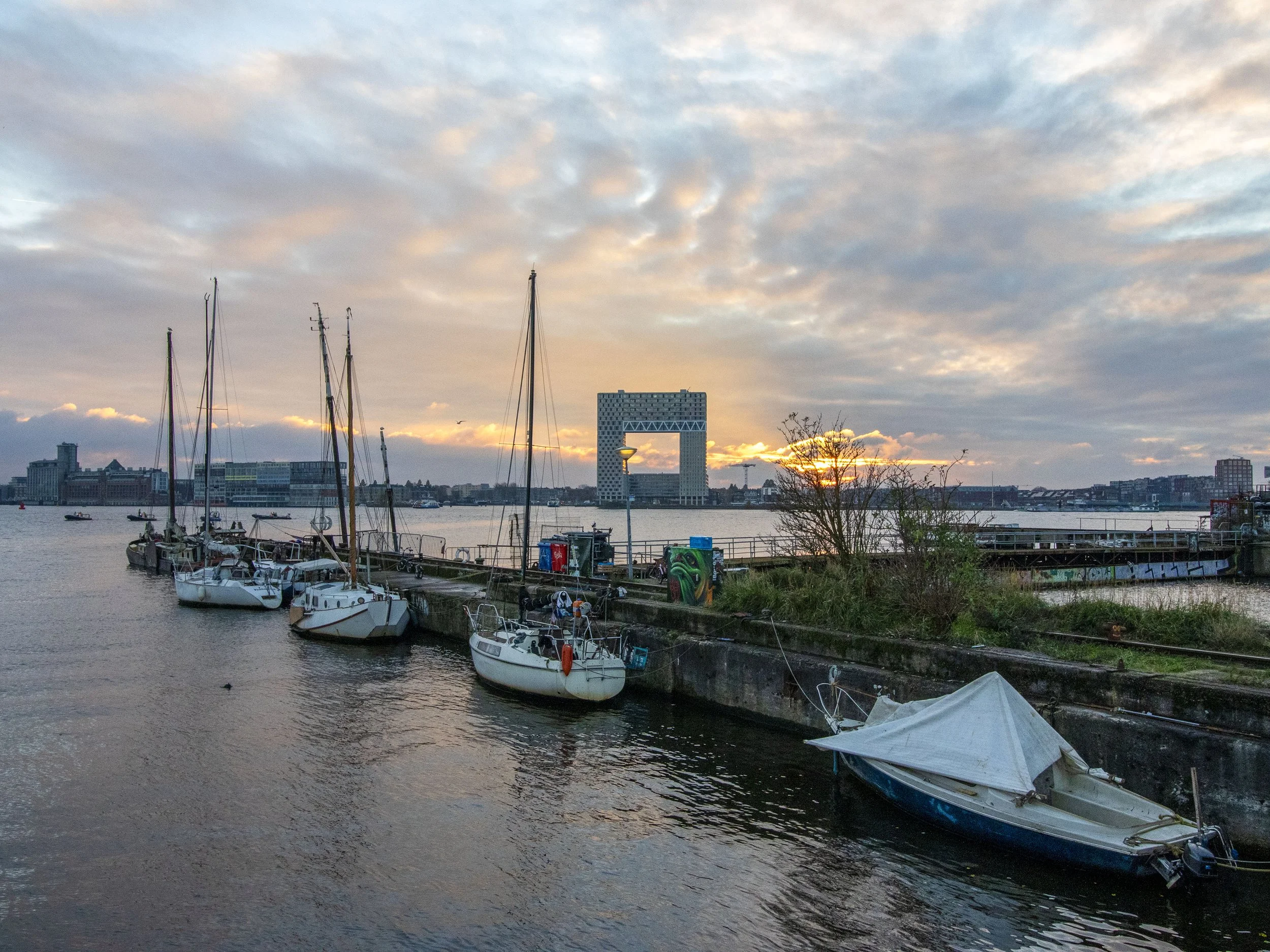 IMG_2726-2 copy.jpg