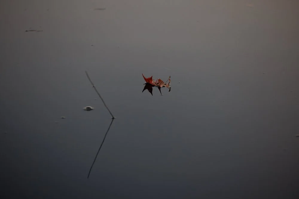 ASHBURN, Va. — An early walk around Ashburn Pavilion on Tuesday,  Oct. 27, 2026.  (Liz Helgesen)
