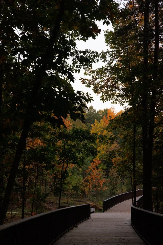 ASHBURN, Va. — Early morning light illuminates the fall landscape at Beaverdam Reservoir on Tuesday, Oct. 13, 2026. What began as a search for fog near the dam turned into a clear and stunning autumn morning. (Liz Helgesen)