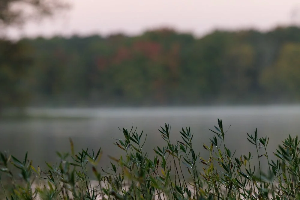 ASHBURN, Va. — Early morning light illuminates the fall landscape at Beaverdam Reservoir on Tuesday, Oct. 13, 2026. What began as a search for fog near the dam turned into a clear and stunning autumn morning. (Liz Helgesen)