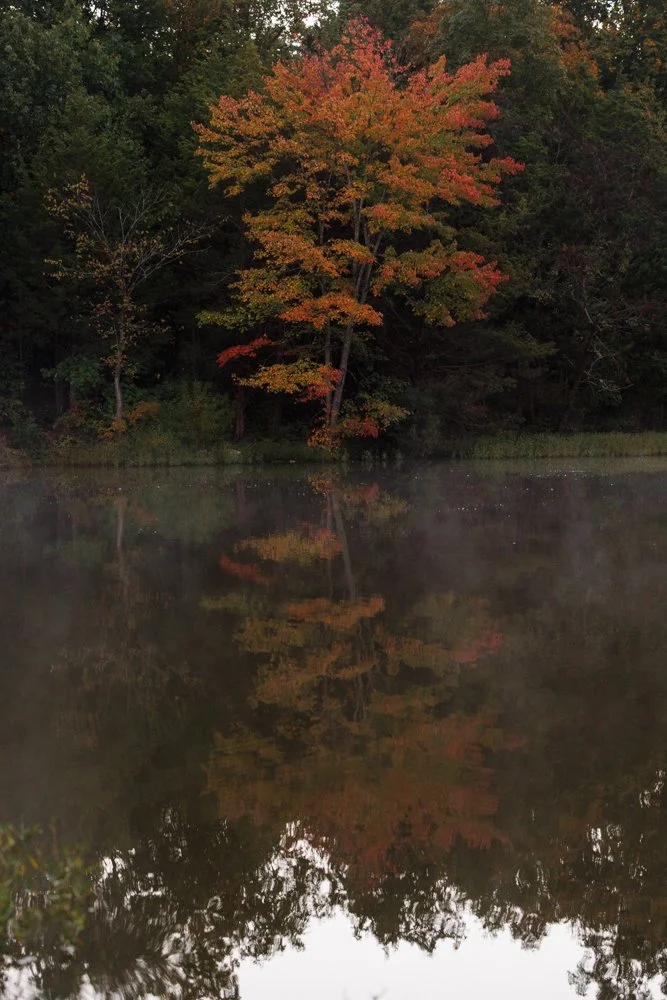 ASHBURN, Va. — Early morning light illuminates the fall landscape at Beaverdam Reservoir on Tuesday, Oct. 13, 2026. What began as a search for fog near the dam turned into a clear and stunning autumn morning. (Liz Helgesen)