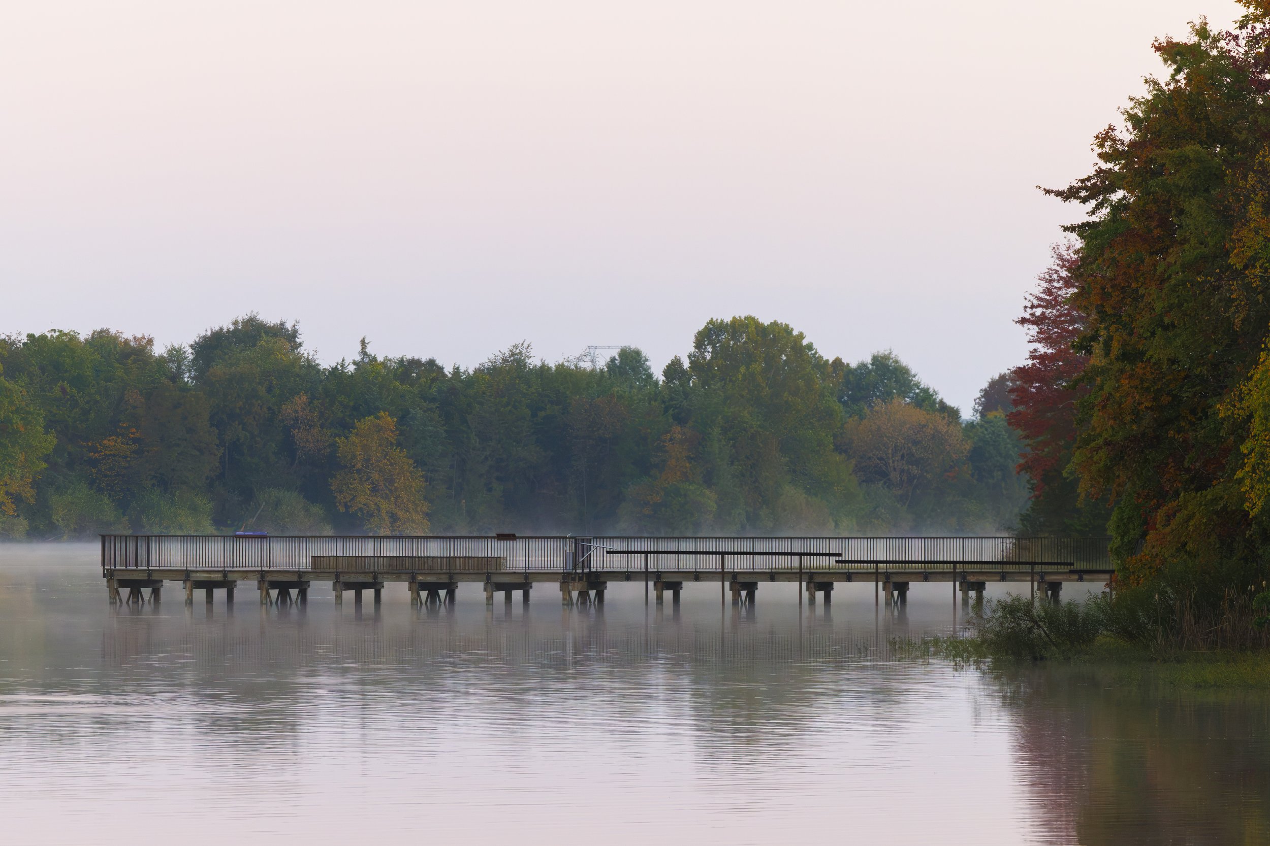 ASHBURN, Va. — Early morning light illuminates the fall landscape at Beaverdam Reservoir on Tuesday, Oct. 13, 2026. What began as a search for fog near the dam turned into a clear and stunning autumn morning. (Liz Helgesen)