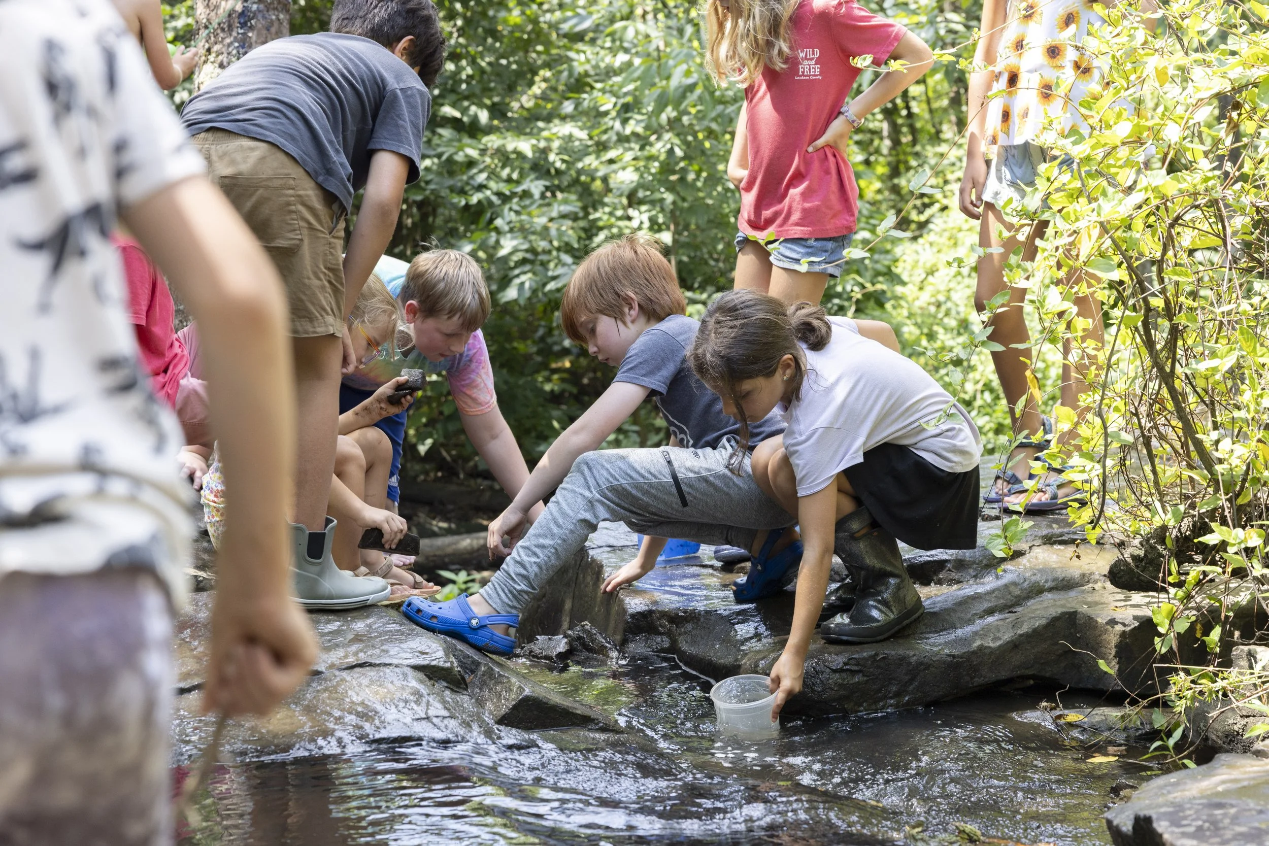 HERNDON, Va. — Wild & Free members gather for a book discussion and creek play at Frying Pan Farm Park on Aug. 28, 2026. The group discussed “Freddy Goes to Florida.” (Liz Helgesen)