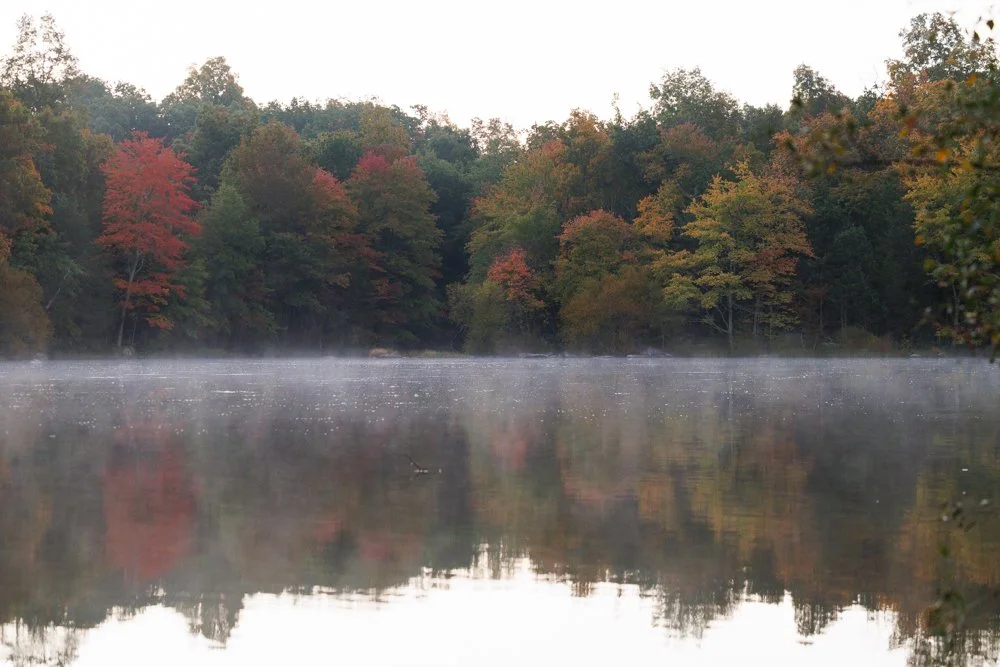 ASHBURN, Va. — Early morning light illuminates the fall landscape at Beaverdam Reservoir on Tuesday, Oct. 13, 2026. What began as a search for fog near the dam turned into a clear and stunning autumn morning. (Liz Helgesen)
