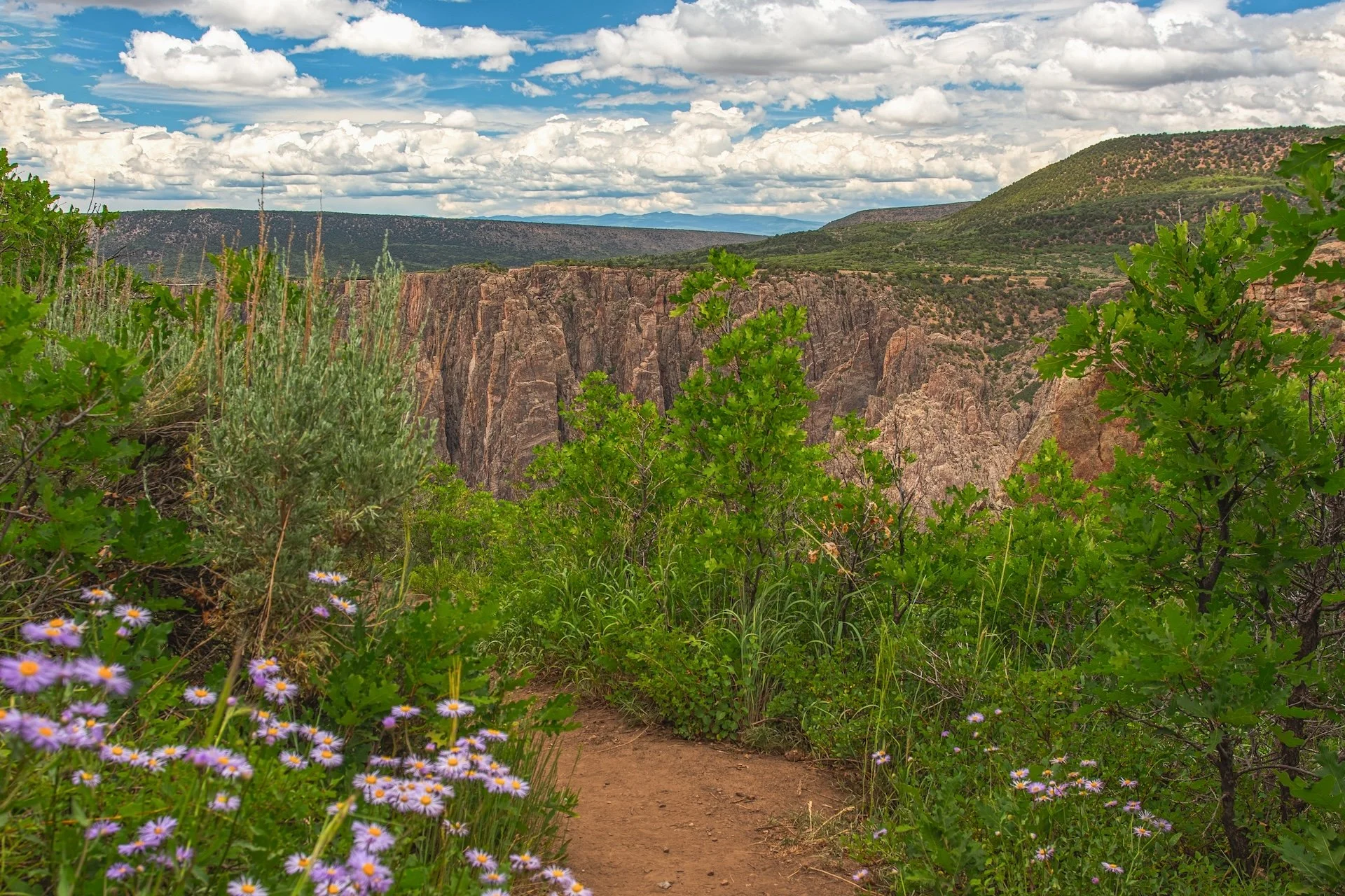Gunnison.jpg