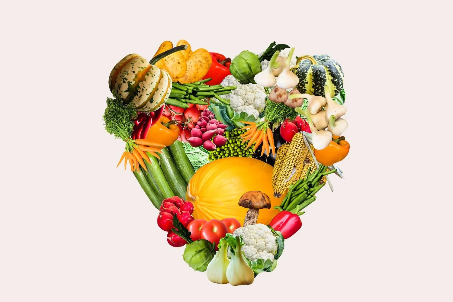 Manger autrement : les familles d’aliments végétaux expliquées