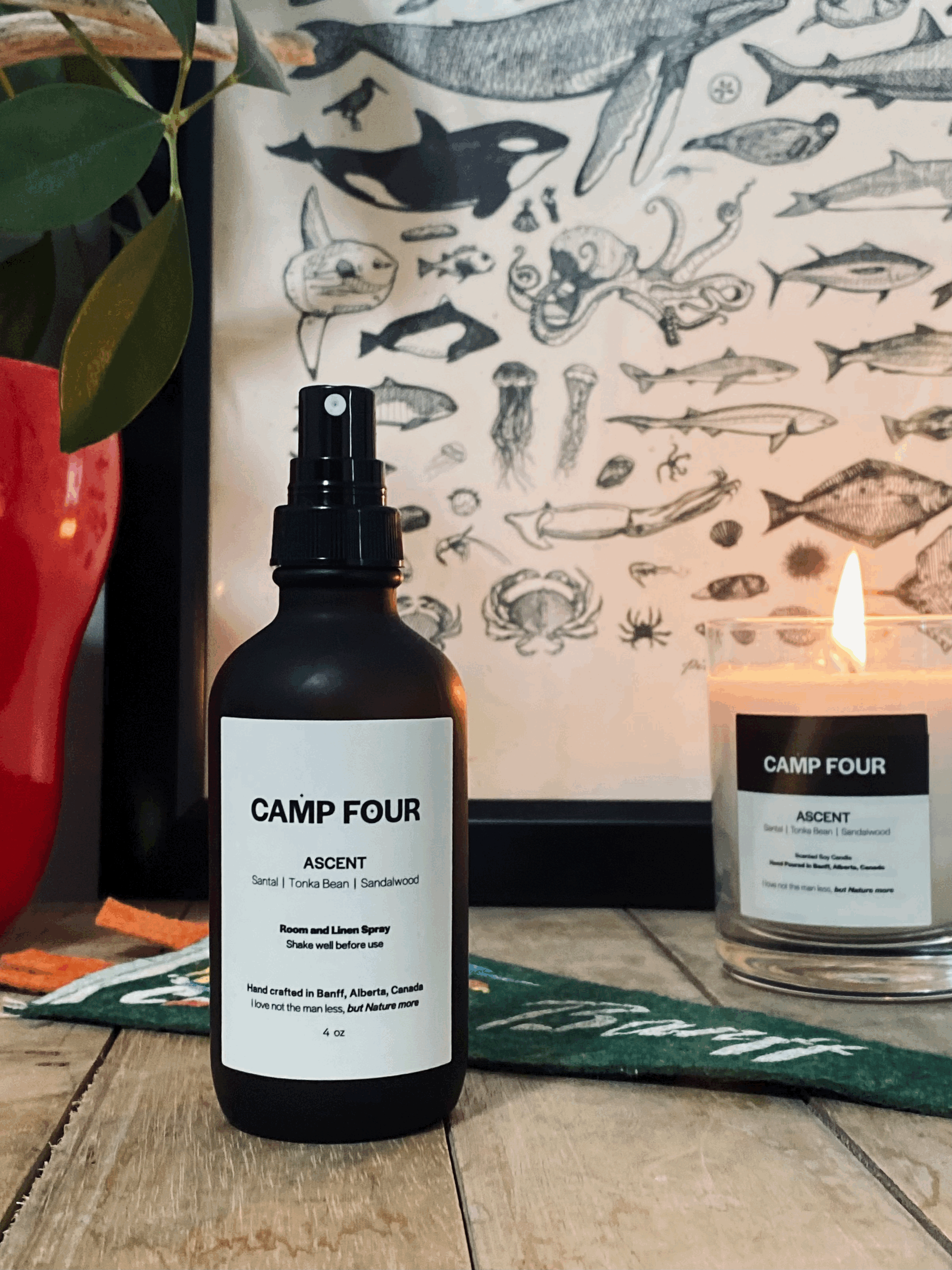 tempImageYWL062.gif