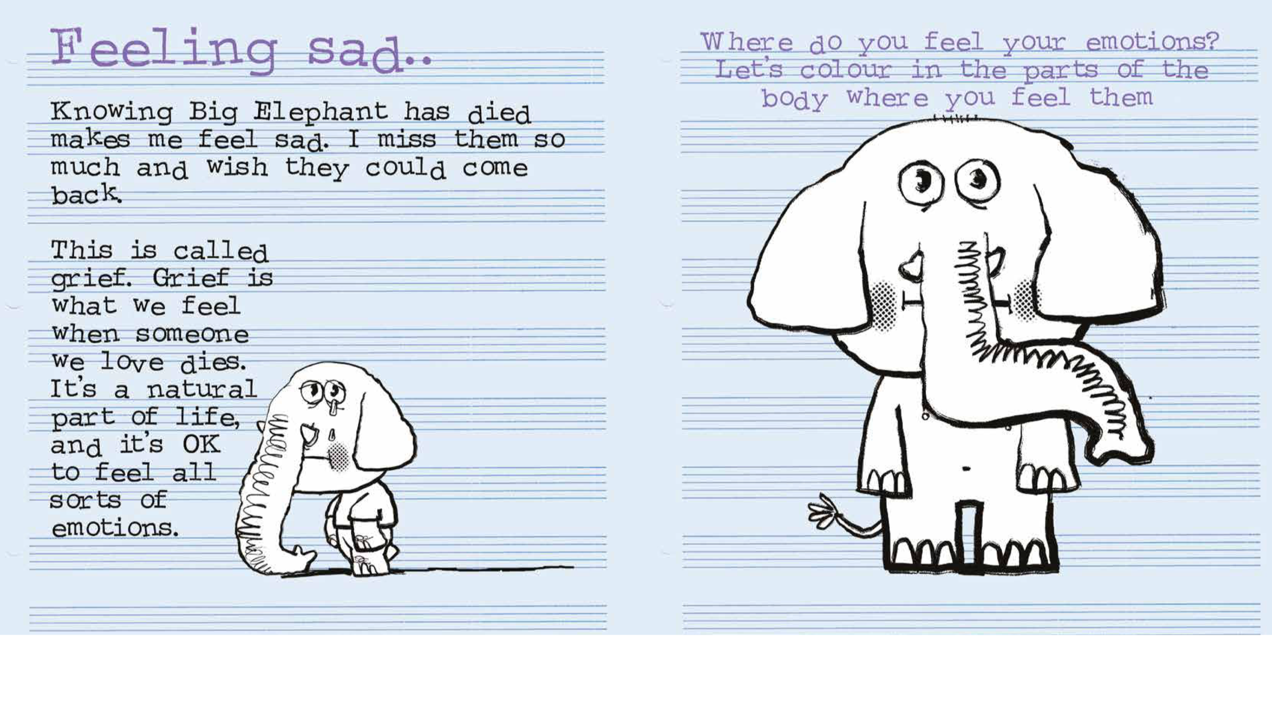 IMG_0437.png