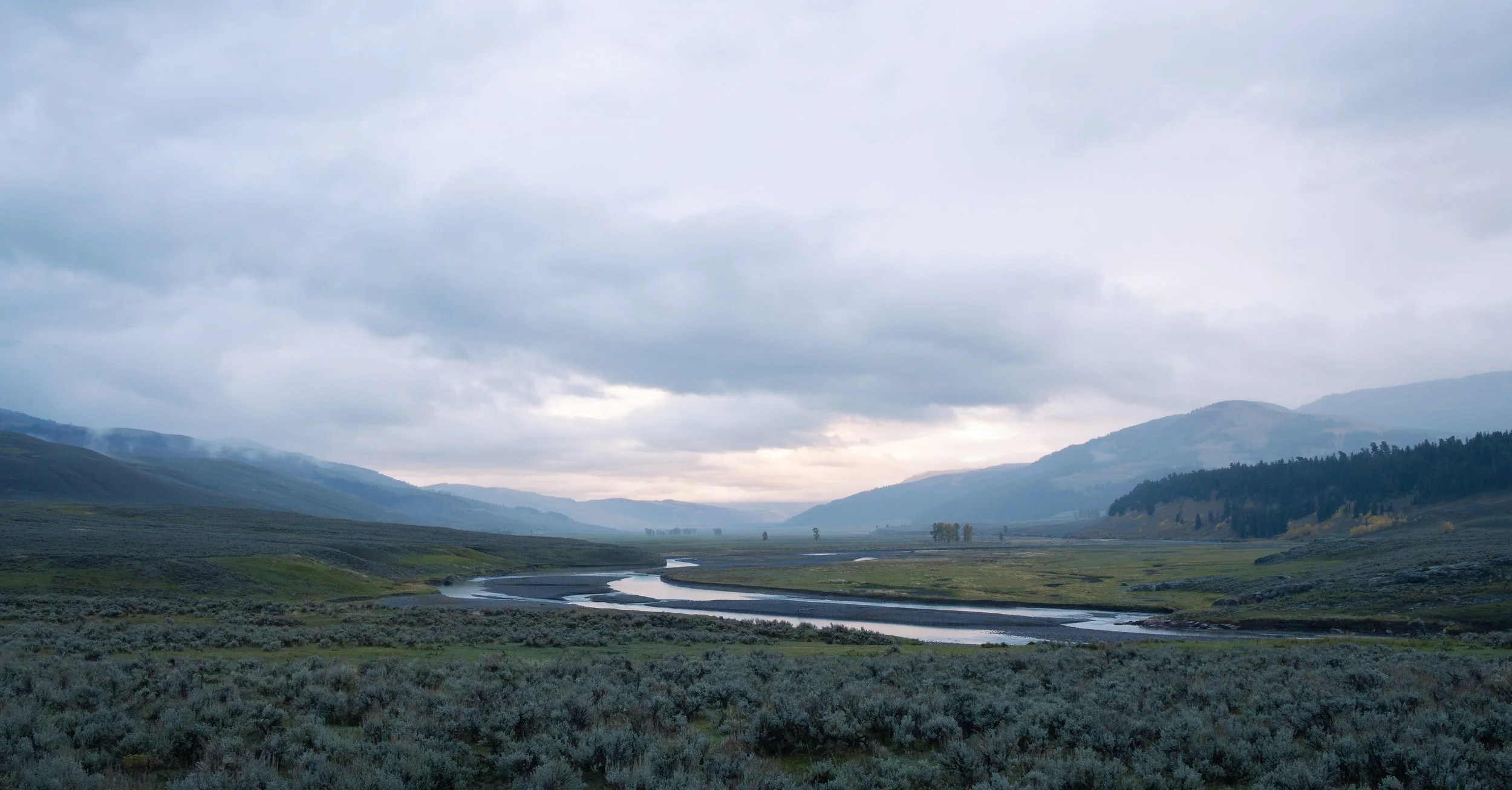 Lamar Valley