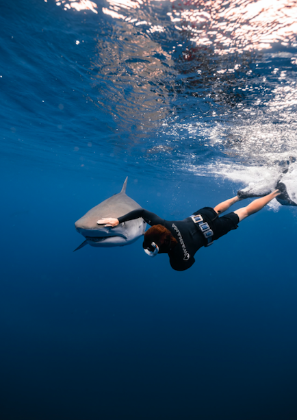 Screen Shot 2024-05-31 at 4.25.52 PM.png