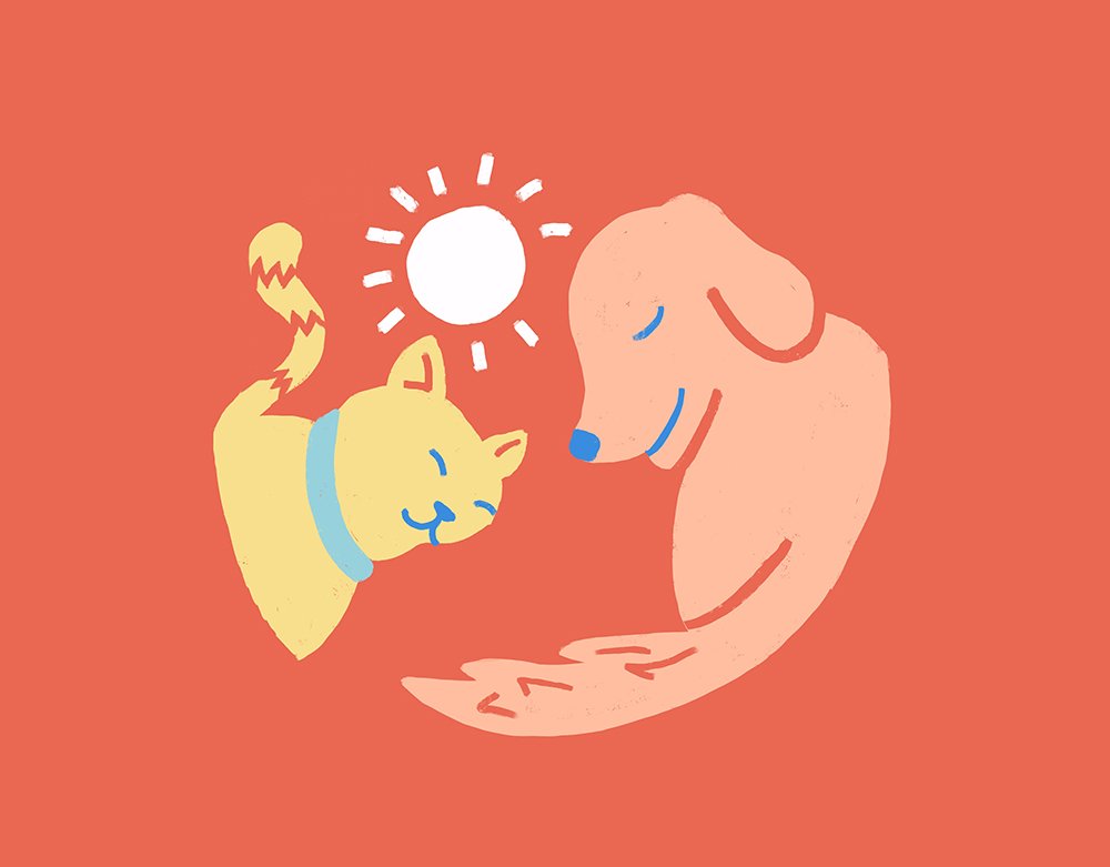 Pet Charity Program