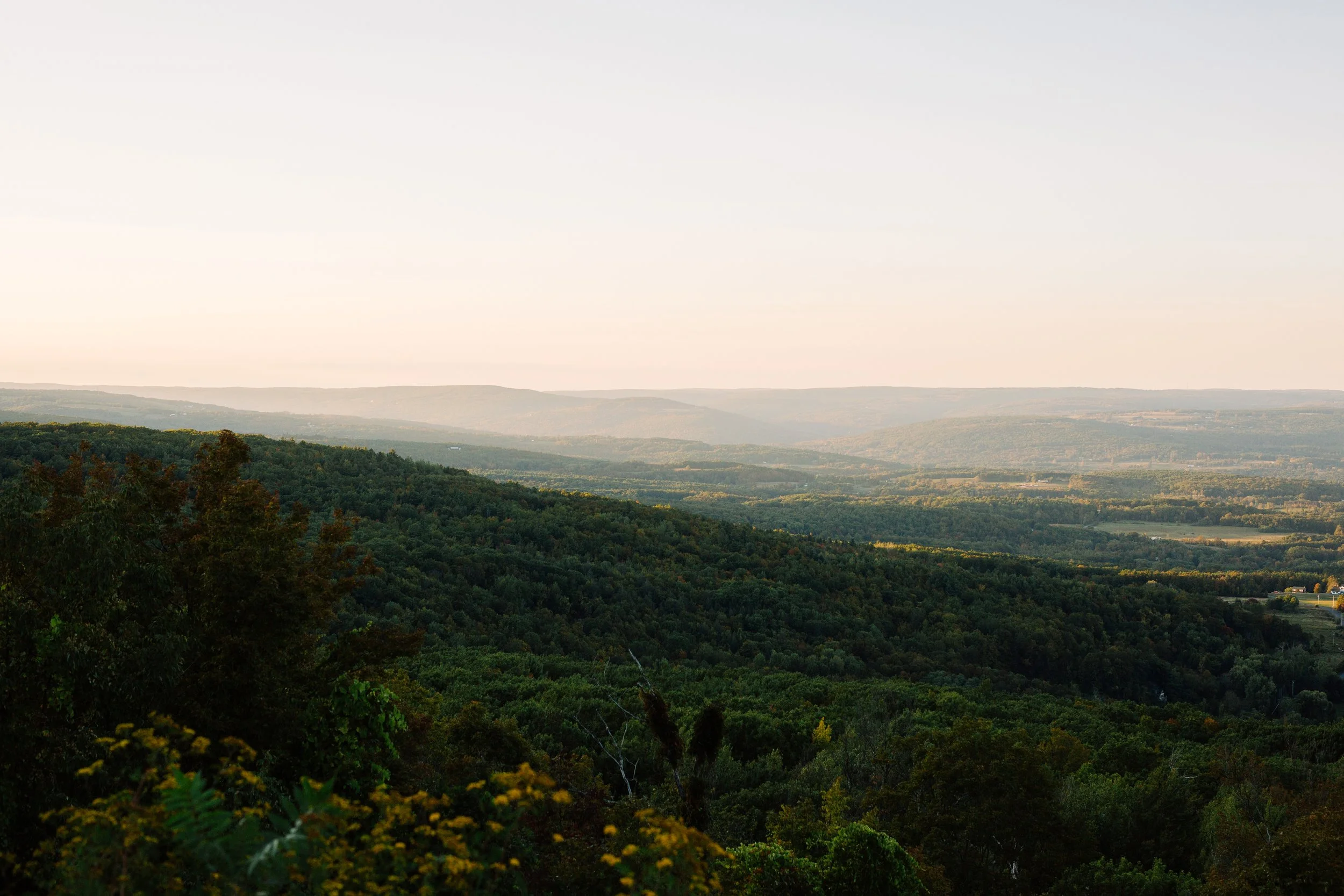 _45A7975.jpg