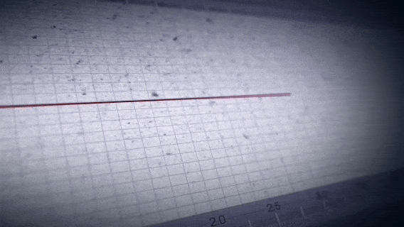 🌎 19 DE SEPTIEMBRE EN MEXICO: CIENCIA FRENTE A LOS SISMOS