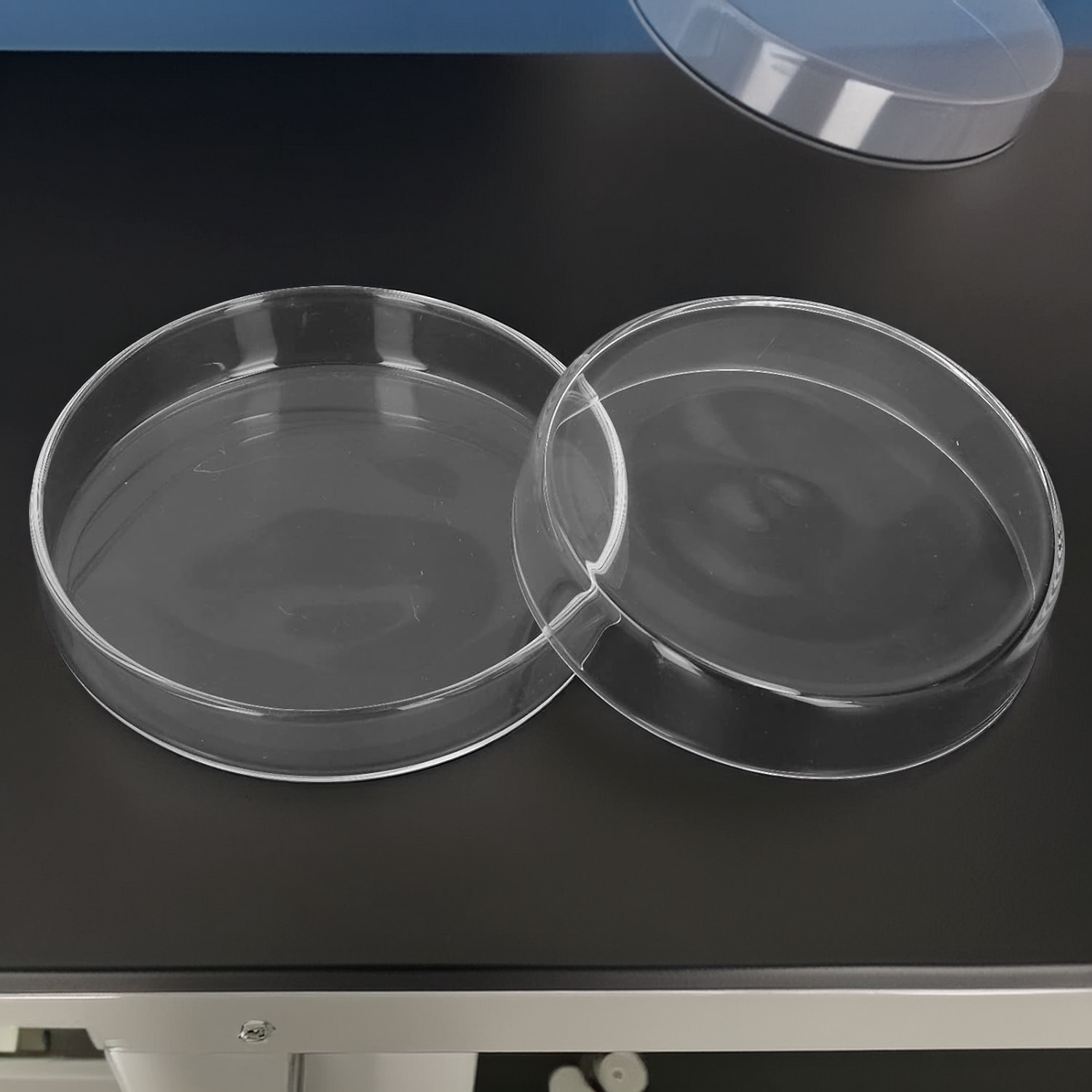 PETRI02.png