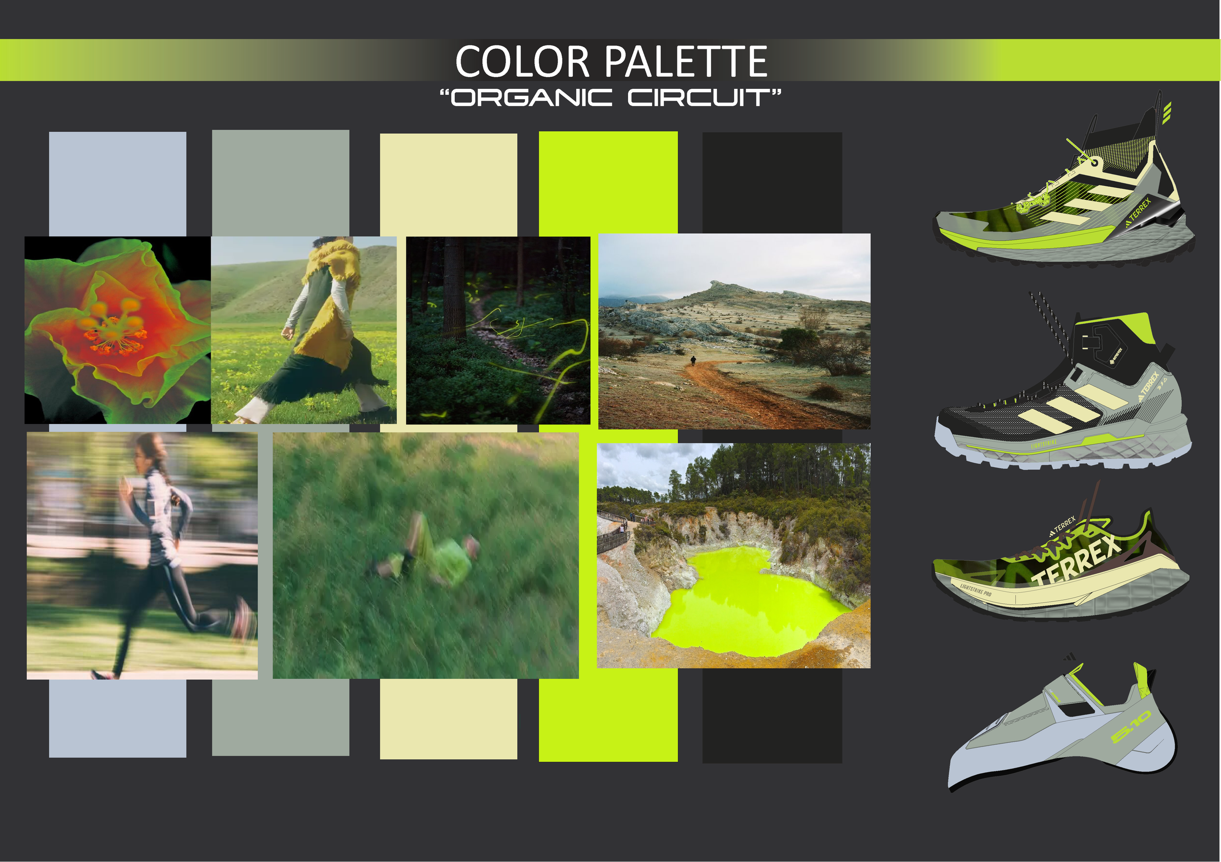 Adidas Colour Palette