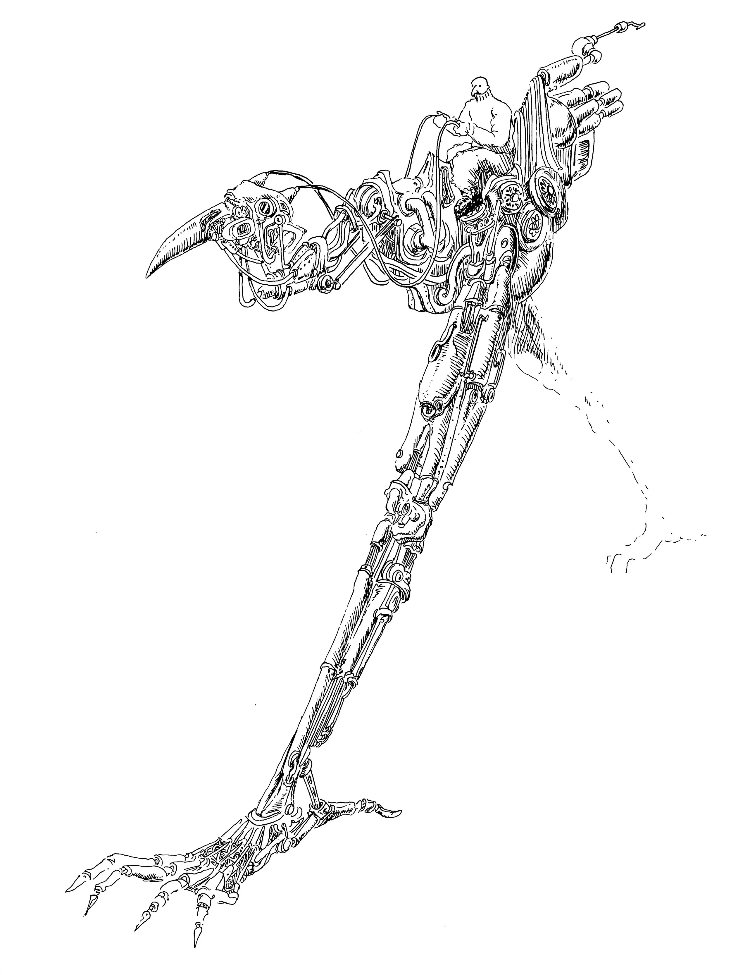 bird tech.jpg