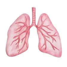 Massage and Respiration