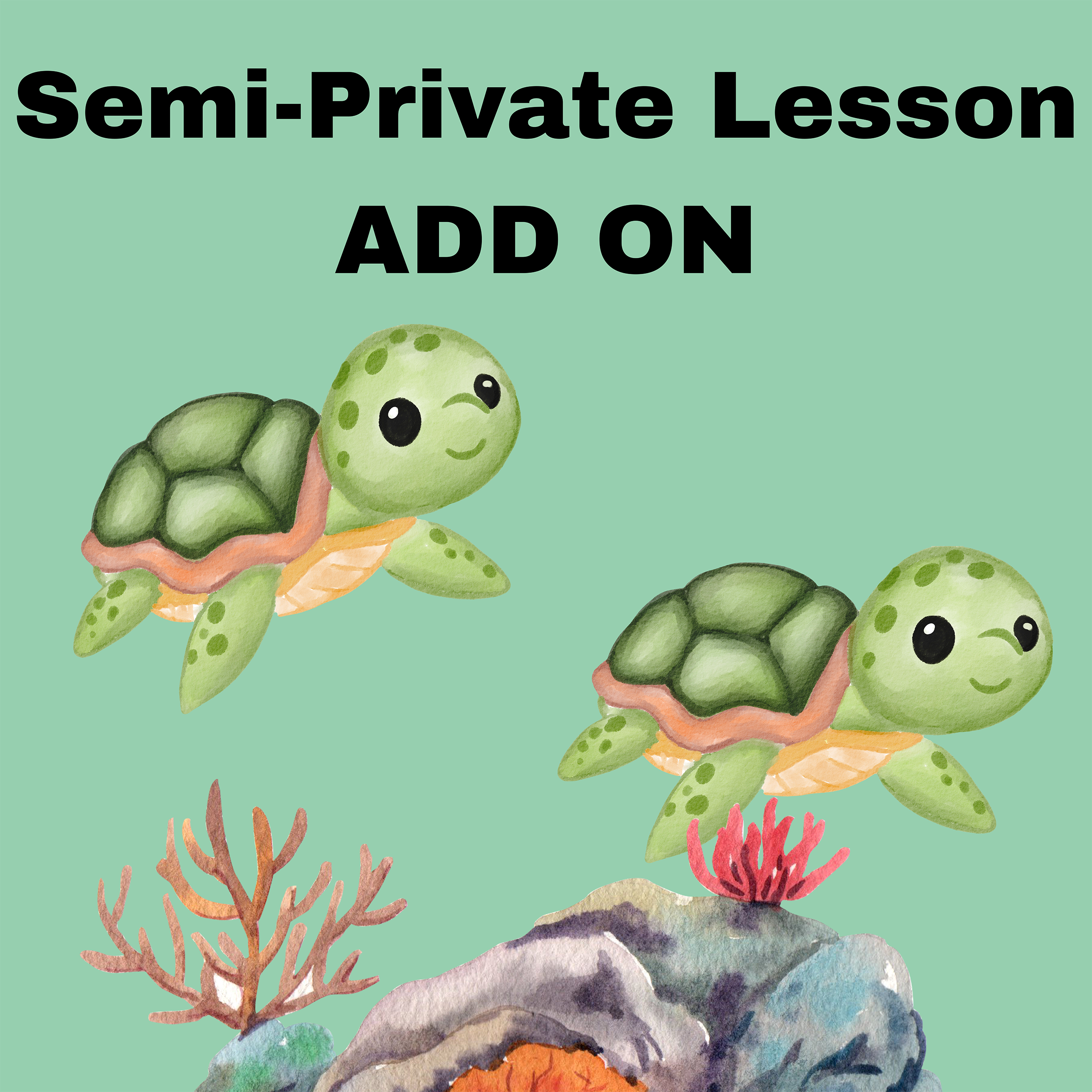 Semi-Private Lesson - ADD ON