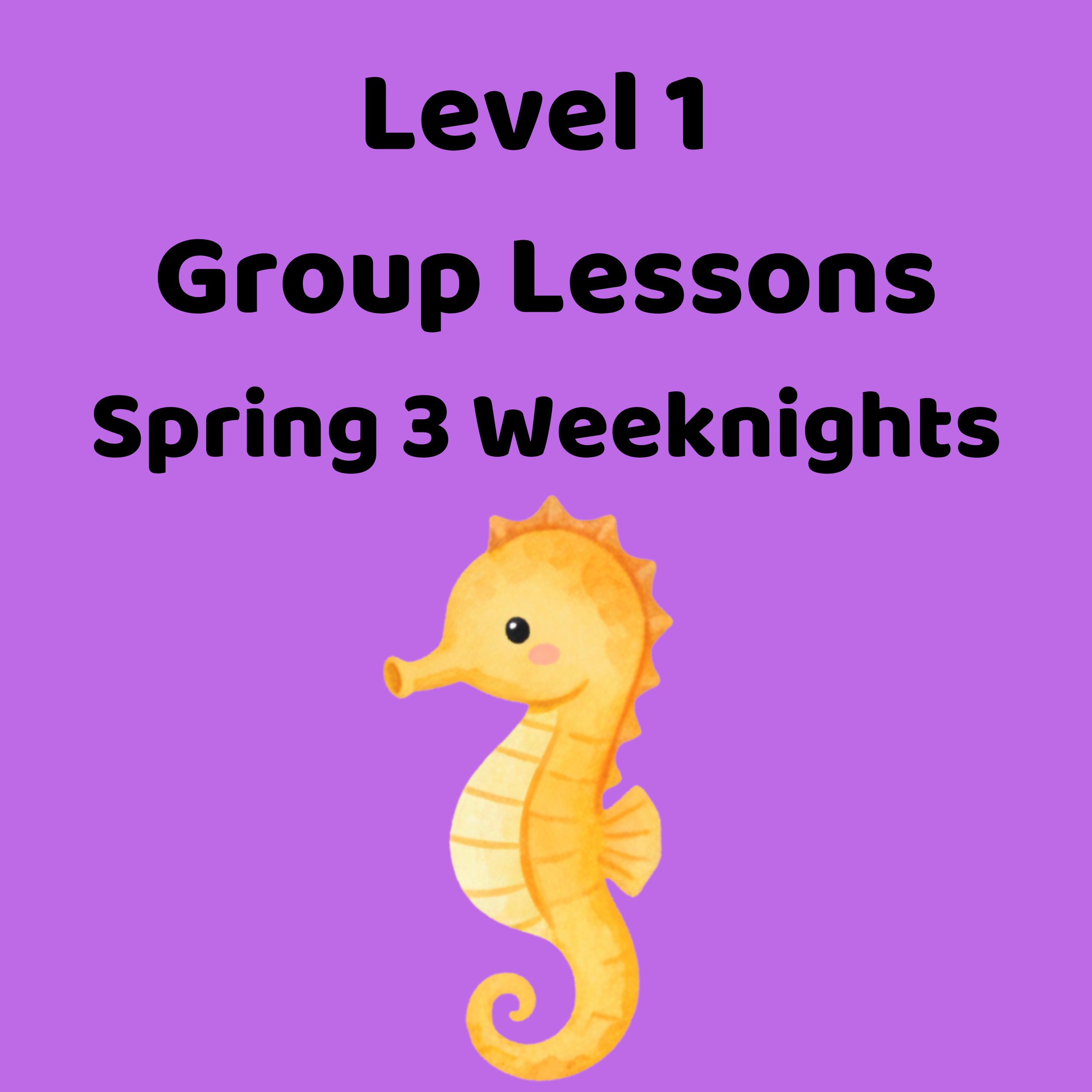 Level 1 Group Lessons - Spring 3 Weeknights