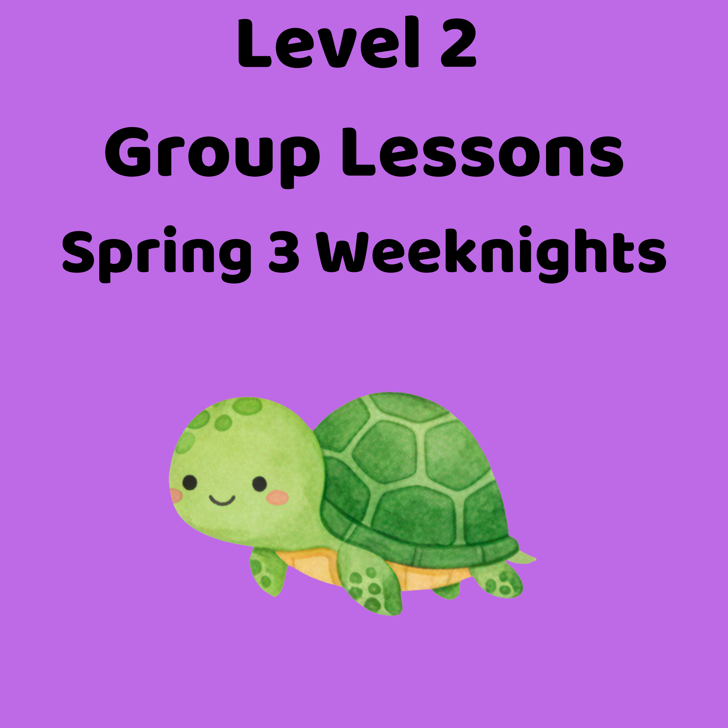 Level 2 Group Lessons - Spring 3 Weeknights