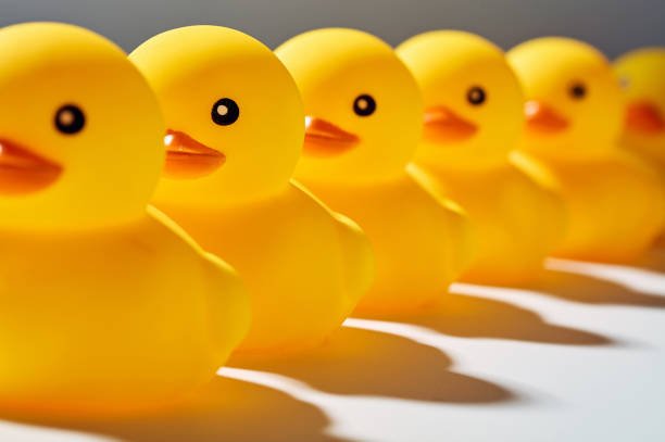 Summer is the Time to Get Your Ducks in a Row