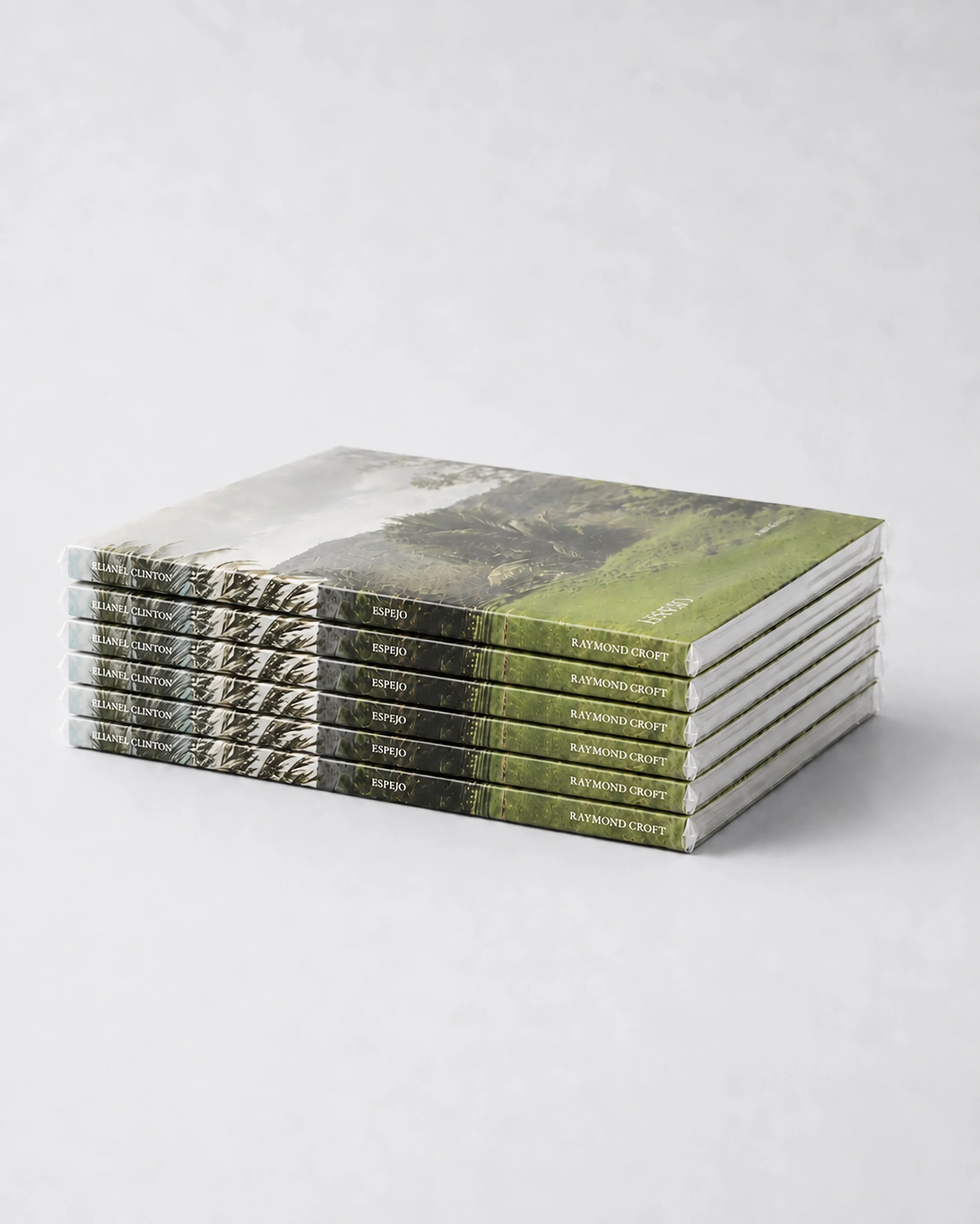ESPEJO_book_4.jpeg