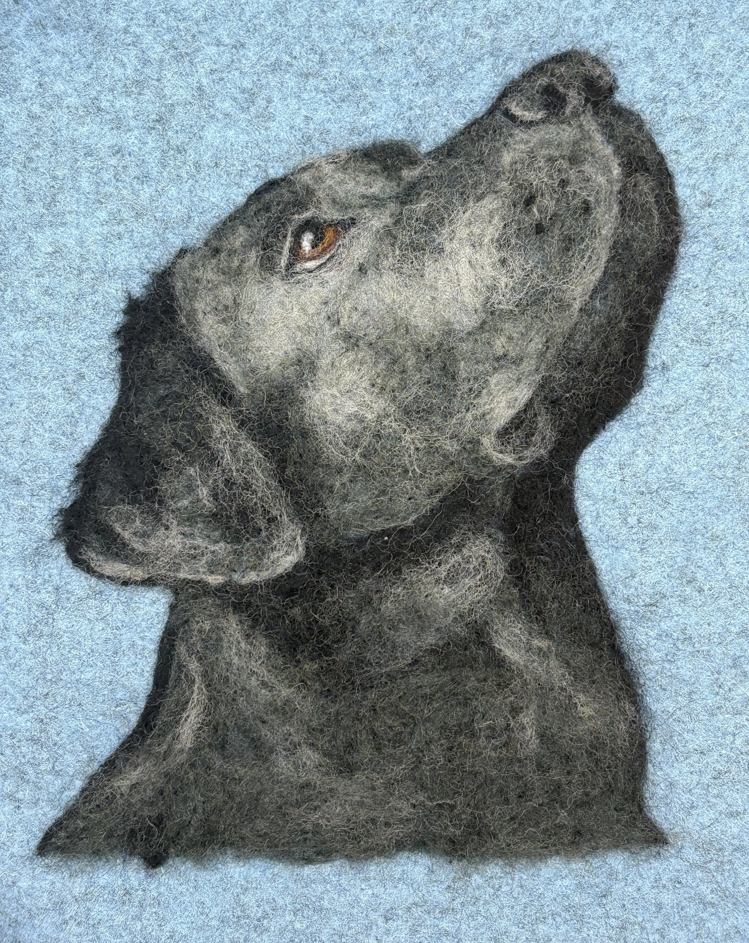 pet portrait
