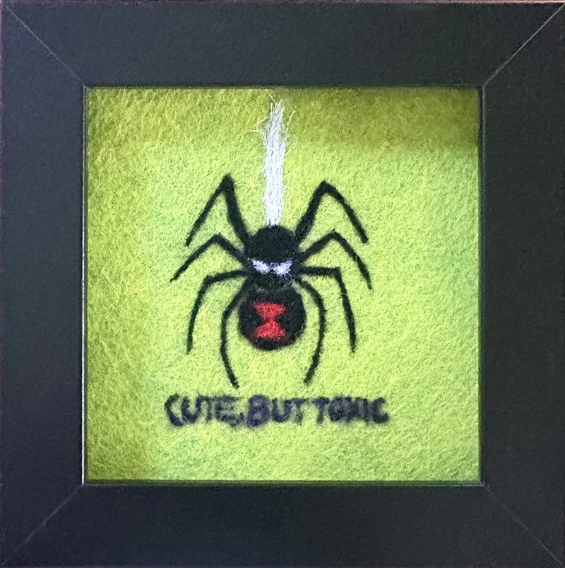 spider.jpg