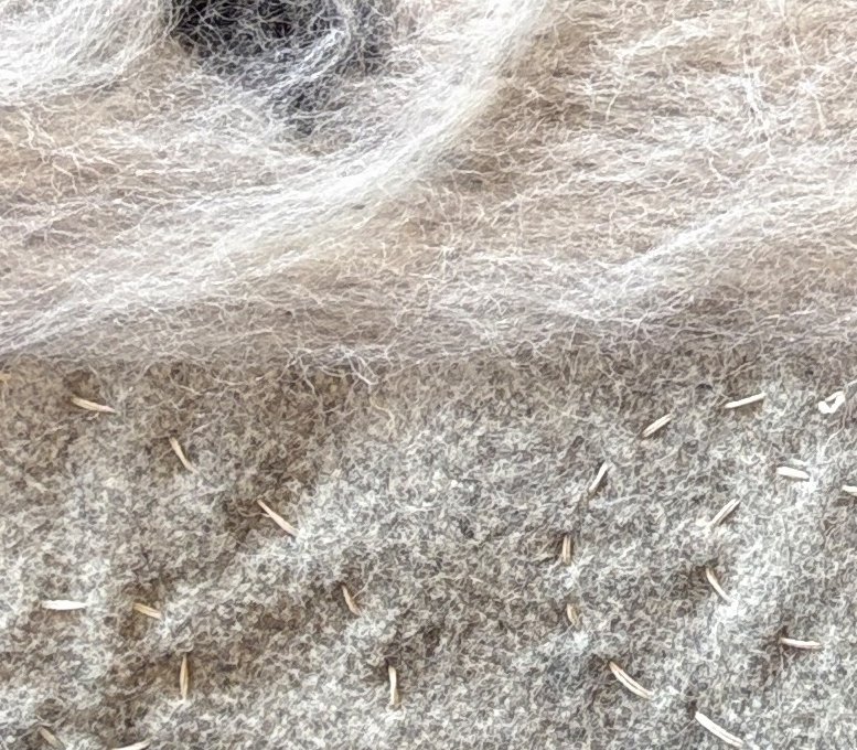 snowy woods wind closeup.jpg