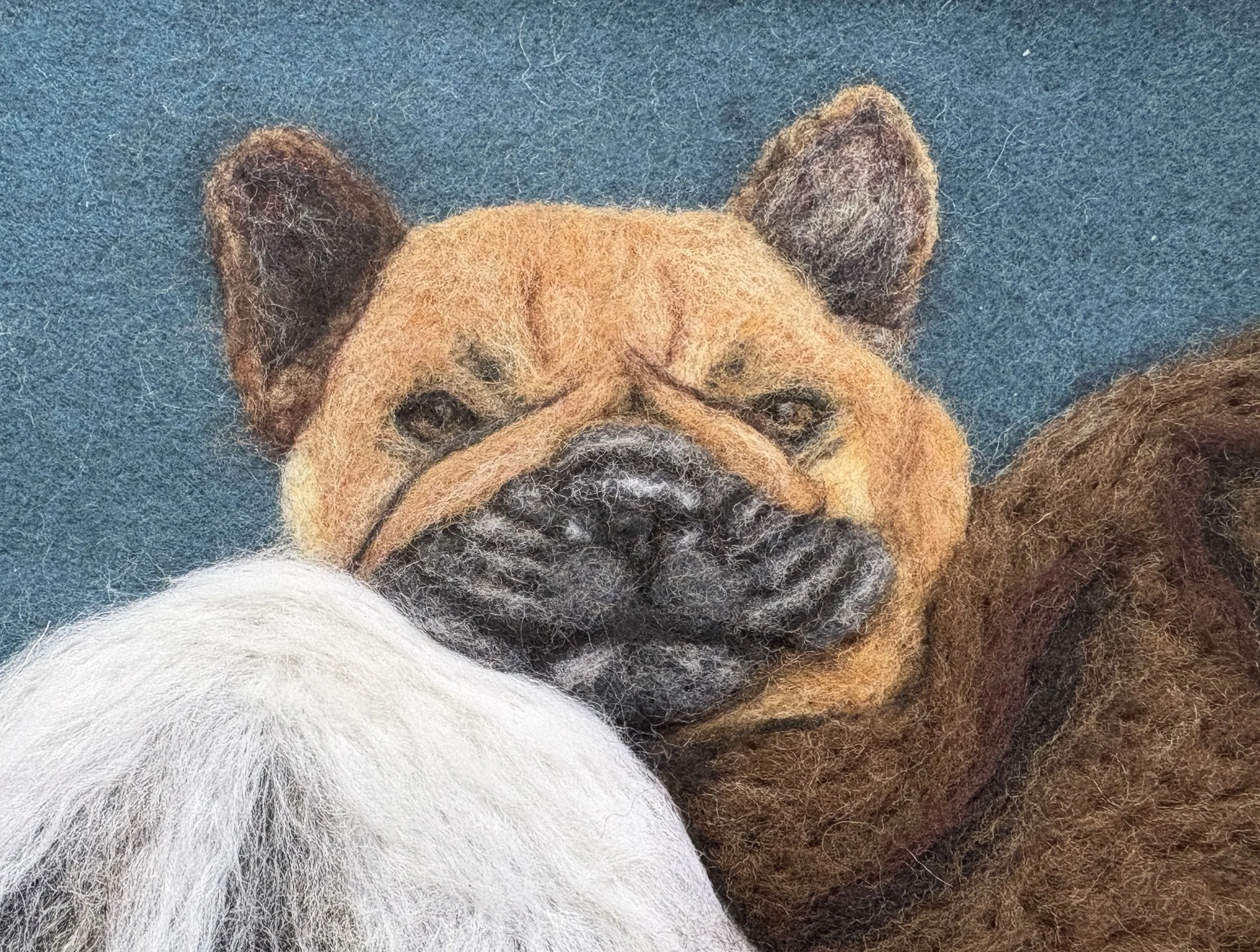 “Frenchie”