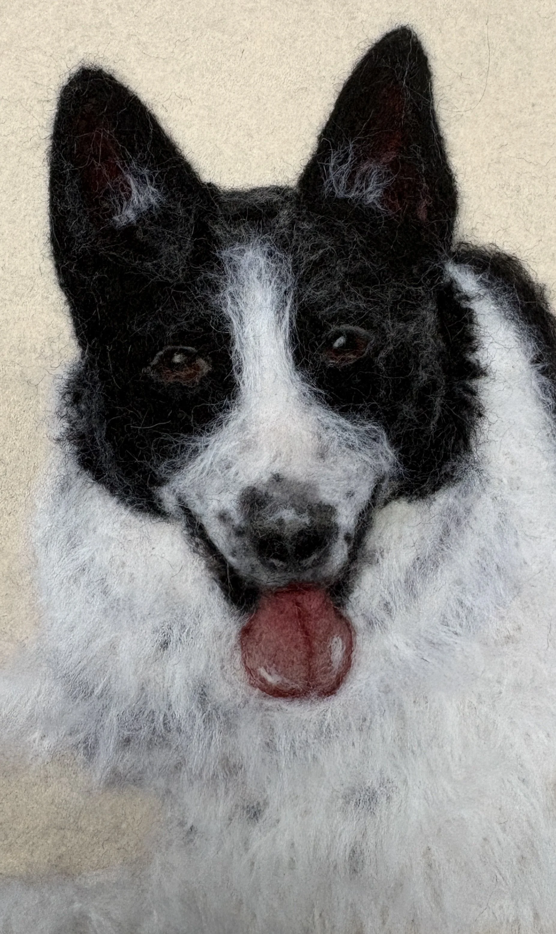 pet portrait