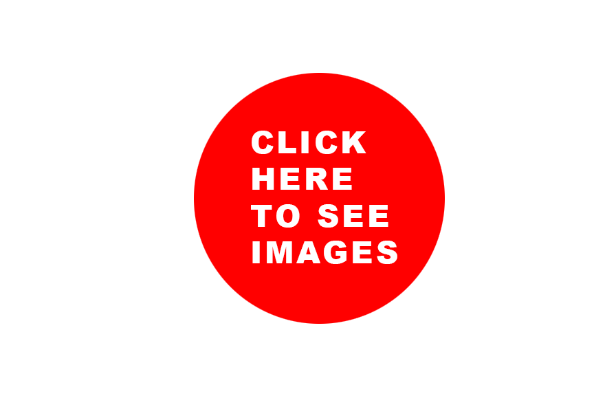 Red circle with white text that reads "Click here to see images" on a black background.